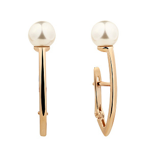 20204687 Серьги (Au 585)