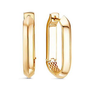 дф1201654рл Серьги (Au 585)