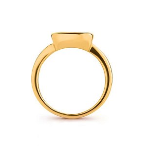 06-ВР-П1028-1 Кольцо (Au 585)