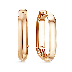 дф1201654р Серьги (Au 585)