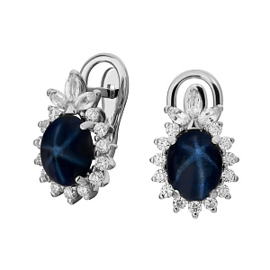 2_02938 (сап.з) Серьги (Au 585)