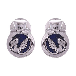 15188FESWSH1 Серьги (Ag 925)