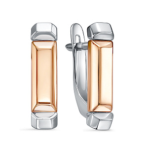 б2207969 Серьги (Au 585)