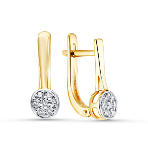 02-03034-05-001-01-01 Серьги (Au 585)