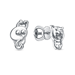 246500-0-1 Серьги (Ag 925)