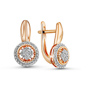 02-P0475-01-001-01-01 Серьги (Au 585)