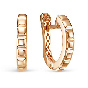 дф2201982р Серьги (Au 585)