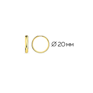 002-0745-0000-020 Серьги (Au 585)