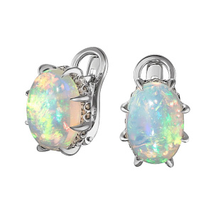 2_04407 (оп) Серьги (Au 585)