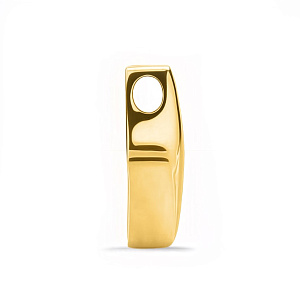 06-ВР-П3007-1 Подвеска (Au 585)