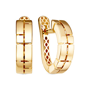 дф2202125рл Серьги (Au 585)