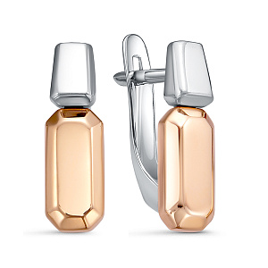 б2207963 Серьги (Au 585)