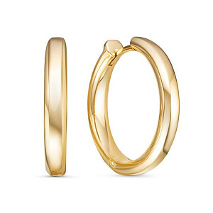 дф1201507рл Серьги (Au 585)