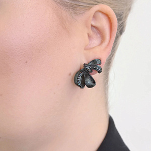 BWE520-1 Серьги