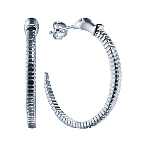 E6169_SR_001_WG Серьги (Ag 925)